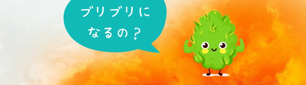 what-is-terpenes-27-pot420blog